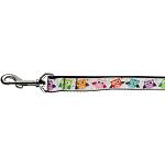 Bright Owls Nylon Ribbon Collars 1 wide 4ft Leash