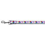 Technicolor Love Nylon Ribbon Pet Leash 1 wide 4ft