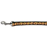 Pumpkins Nylon Ribbon Pet Leash 1 wide 4ft