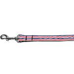 Patriotic Stripes Nylon Dog Leash 4 Foot