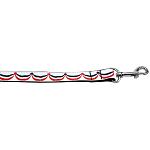 American Swag Nylon Dog Leash 4 Foot