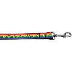 Equality Nylon Dog Leash 4 Foot