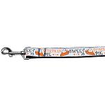 Pumpkin Pie Nylon Dog Leash 4 Foot