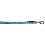 Blue Unicorn Nylon Pet Leash 3/8in by 4ft