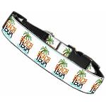 Beach Bum Nylon Pet Leash 1in by 6ft