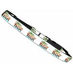 Beach Bum Nylon Pet Leash 1in by 4ft