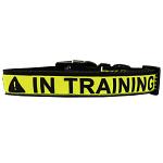 In Training Caution Tape Nylon Dog Collar Large