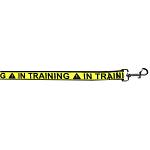 In Training Caution Tape Nylon Pet Leash 1in by 4ft