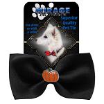 Pumpkin Widget Pet Bowtie Black