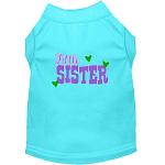 Little Sister Screen Print Dog Shirt Aqua Lg