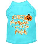 Cutest Pumpkin in the Patch Screen Print Dog Shirt Aqua Lg