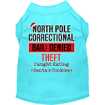 North Pole Correctional Screen Print Dog Shirt Aqua Size XS