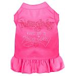 Rhinestone Naughty but in a nice way Dress Bright Pink 4X