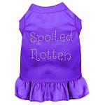 Spoiled Rotten Rhinestone Dress Purple 4X