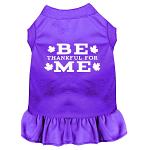 Be Thankful for Me Screen Print Dress Purple 4X (22)