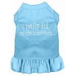 I really did eat the Homework Screen Print Dress Baby Blue 4X (22)