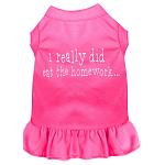 I really did eat the Homework Screen Print Dress Bright Pink 4X (22)