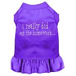 I really did eat the Homework Screen Print Dress Purple 4X (22)