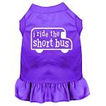 I ride the short bus Screen Print Dress Purple 4X (22)