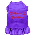 Local Celebrity Screen Print Dress Purple 4X (22)