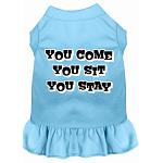 You Come, You Sit, You Stay Screen Print Dress Baby Blue 4X (22)