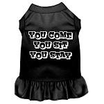 You Come, You Sit, You Stay Screen Print Dress Black 4X (22)