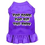 You Come, You Sit, You Stay Screen Print Dress Purple 4X (22)