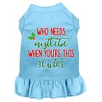 Who Needs Mistletoe Screen Print Dog Dress Baby Blue 4X