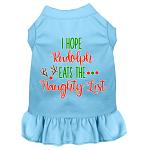 Hope Rudolph Eats Naughty List Screen Print Dog Dress Baby Blue 4X