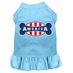 Bonely in America Screen Print Dress Baby Blue 4X (22)