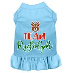 Team Rudolph Screen Print Dog Dress Baby Blue 4X