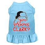 You Serious Clark? Screen Print Dog Dress Baby Blue Sm