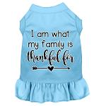 I Am What My Family is Thankful For Screen Print Dog Dress Baby Blue 4X