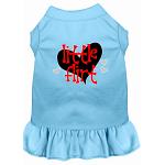 Little Flirt Screen Print Dog Dress Baby Blue 4X