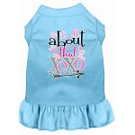 All about the XOXO Screen Print Dog Dress Baby Blue 4X