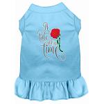 Timeless Tale Screen Print Dog Dress Baby Blue 4X