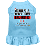 North Pole Correctional Screen Print Dog Dress Baby Blue Size XS