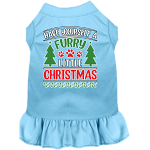 Furry Little Christmas Screen Print Dog Dress Baby Blue Size XS