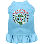 Furry and Bright Screen Print Dog Dress Baby Blue Size XS