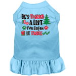 He's Making a List... Screen Print Dog Dress Baby Blue Size XS