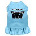 Bitches Ride Screen Print Dog Dress Baby Blue 4X (22)