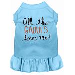 All the Ghouls Screen Print Dog Dress Baby Blue 4X (22)