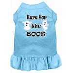 Here for the Boos Screen Print Dog Dress Baby Blue Sm