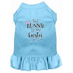 Bunny is my Bestie Screen Print Dog Dress Baby Blue 4X (22)