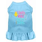 Chicks Rule Screen Print Dog Dress Baby Blue 4X (22)