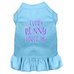 Every Bunny Loves me Screen Print Dog Dress Baby Blue 4X (22)