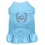 He Is Risen Screen Print Dog Dress Baby Blue 4X (22)