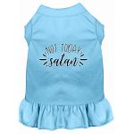 Not Today Satan Screen Print Dog Dress Baby Blue 4X (22)