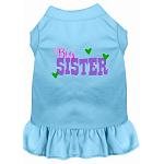 Big Sister Screen Print Dog Dress Baby Blue 4X