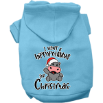 Hippo for Christmas Screen Print Dog Hoodie Baby Blue Size XS